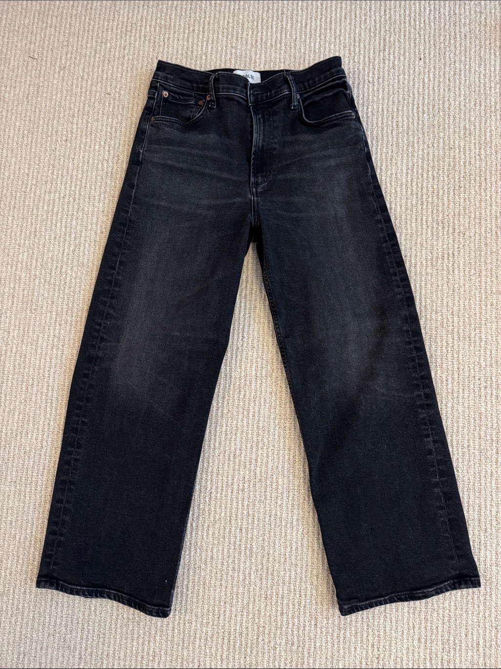 Agolde Women’s Ren High Waist Wide Leg Ankle Length Jeans